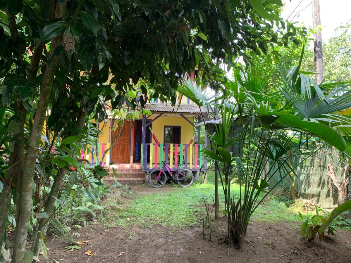 Brigitte'S Ranch Hotel Cahuita Exterior photo