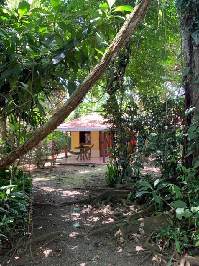 Brigitte'S Ranch Hotel Cahuita Exterior photo