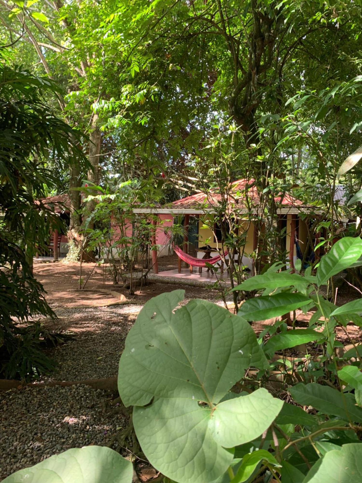 Brigitte'S Ranch Hotel Cahuita Exterior photo
