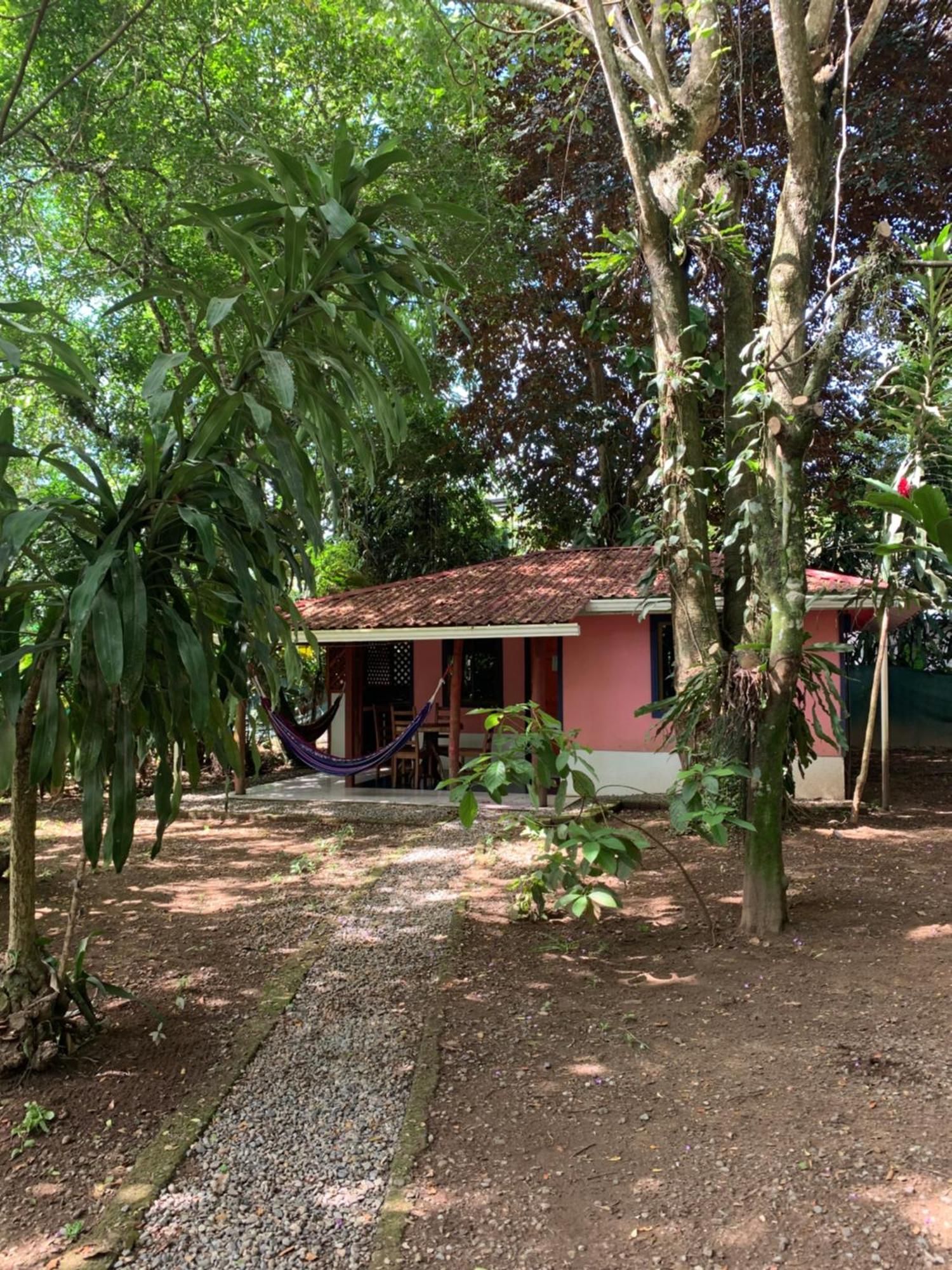Brigitte'S Ranch Hotel Cahuita Exterior photo
