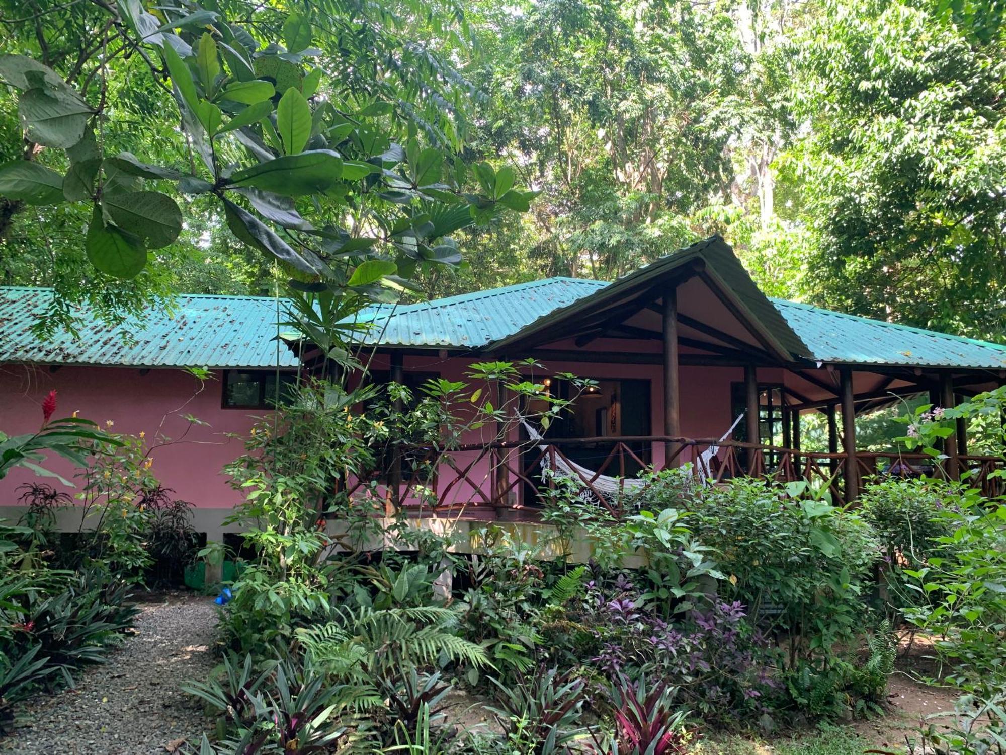 Brigitte'S Ranch Hotel Cahuita Exterior photo