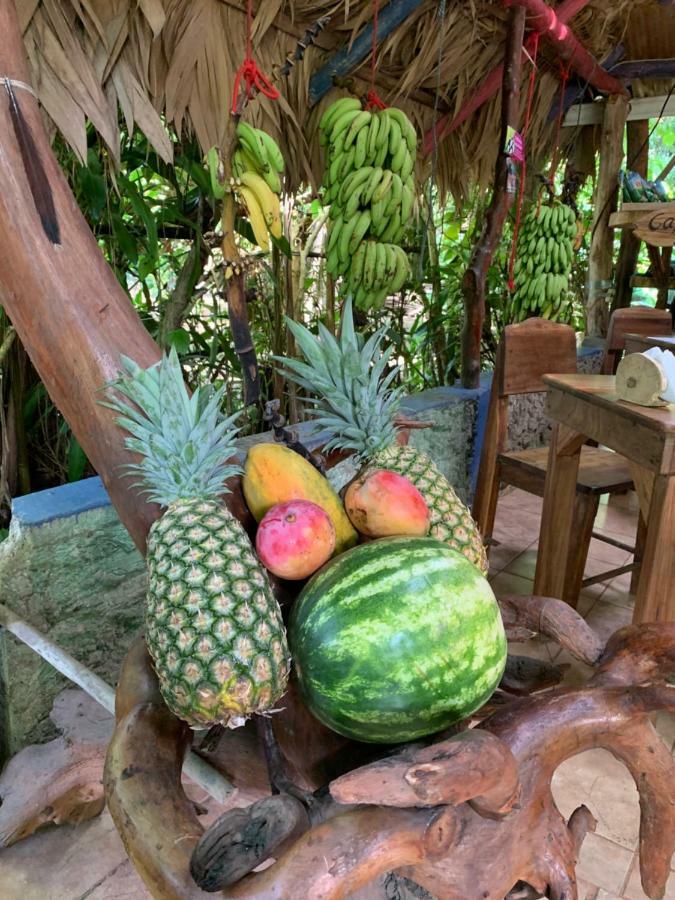 Brigitte'S Ranch Hotel Cahuita Exterior photo